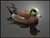 Oldtrader3's Avatar